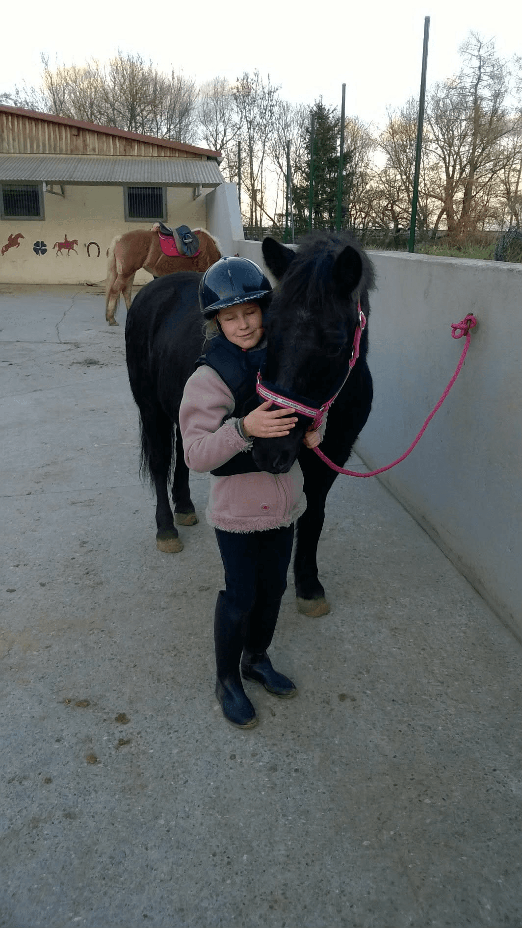 Image Hugging Hourse