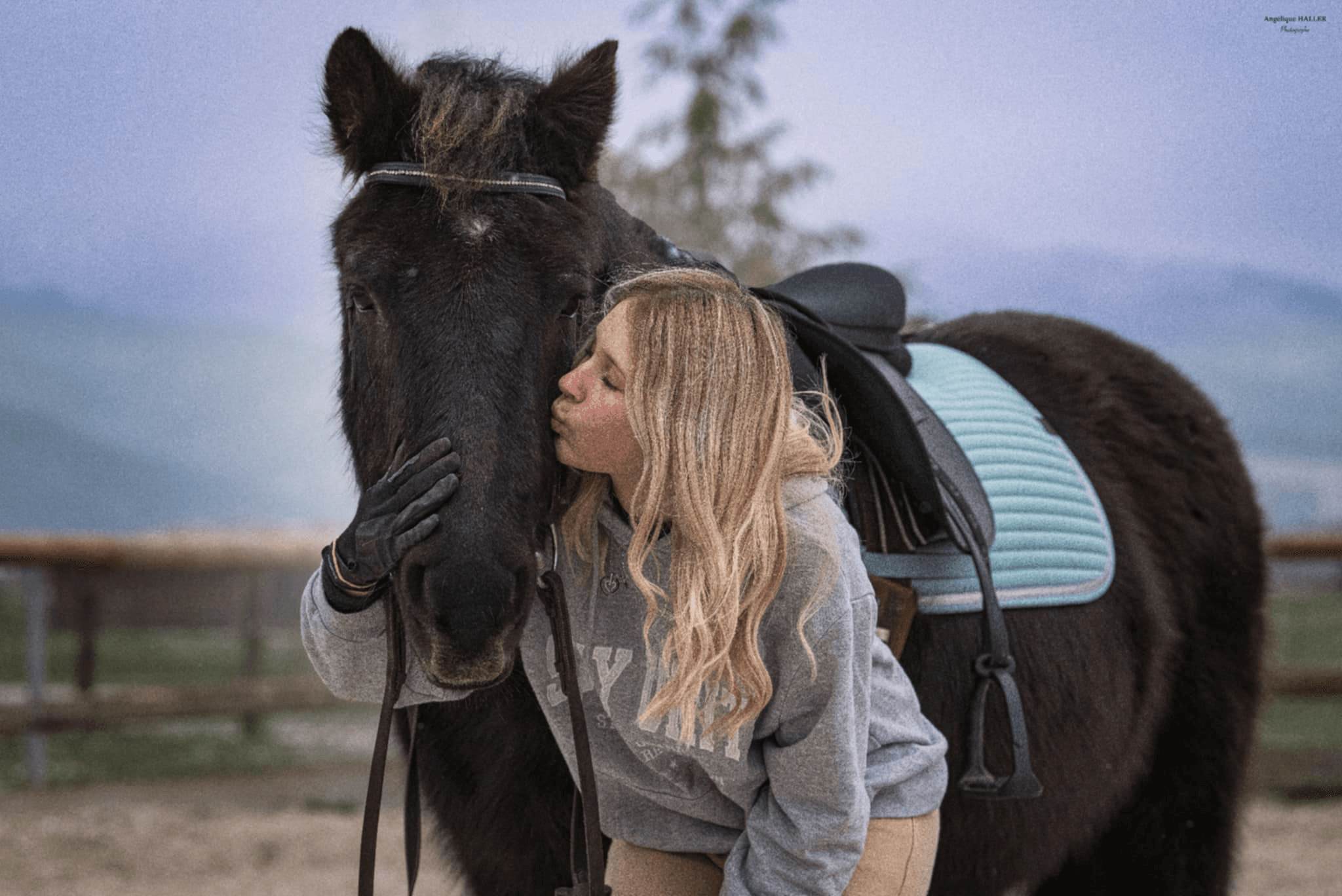 Image Kiss Hourse