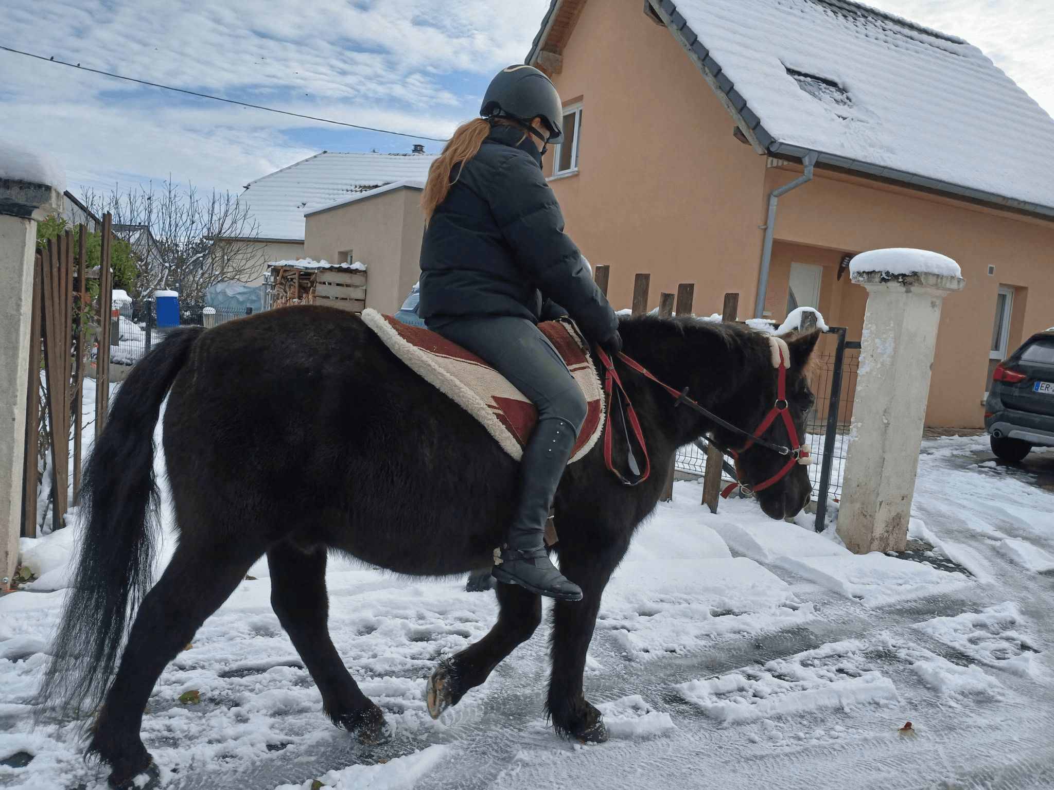 Image Snow Riding Hourse